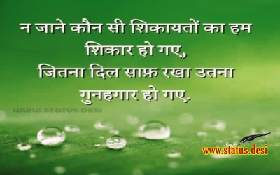 न जाने कौन सी शिकायतों का हम शिकार हो गए , जितना दिल साफ़ रखा उतना गुनहगार हो गए